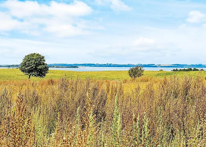 7 Person In Faaborg-by Traum *